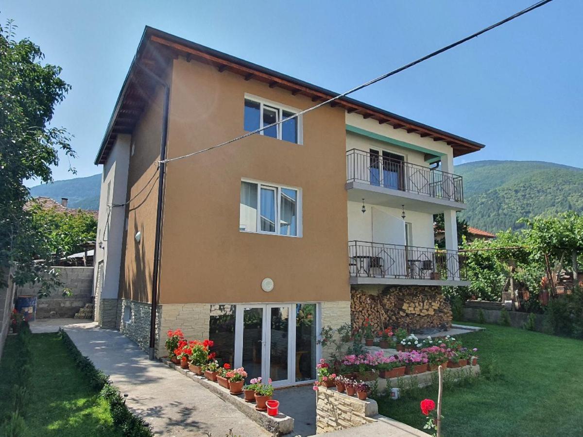Дамяновата Къща Villa Sapareva Banya Eksteriør billede